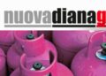 L’azienda Nuova Diana gas risponde ai video fatti dal giornalista Pino Grazioli.