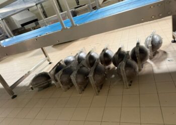 Uova pasquali con vermi, sequestrata fabbrica nell’Avellinese.