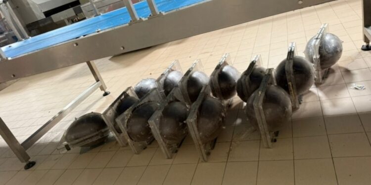 Uova pasquali con vermi, sequestrata fabbrica nell’Avellinese.