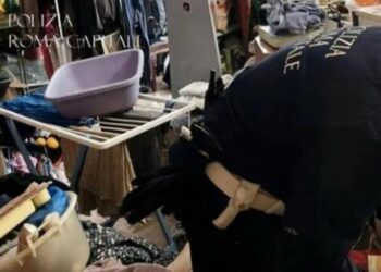 Roma: Neonato trovato tra rifiuti e droga, salvato in un appartamento.